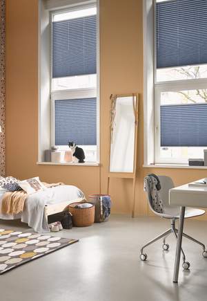 Pleated Blinds